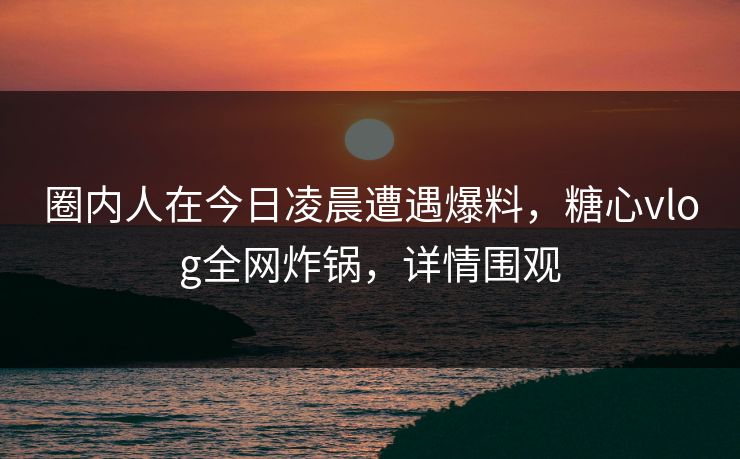 圈内人在今日凌晨遭遇爆料，糖心vlog全网炸锅，详情围观